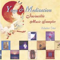 INVINCIBLE COLLECTION: Invincible Collection Sampler Vol. One