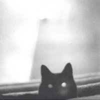 Invisible Friend : Precinct 9