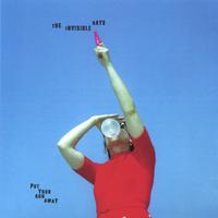 THE INVISIBLE RAYS: Put Your Gun Away