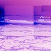 VARIOUS: Different View