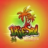 IRIE SOL: Solstice