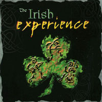 THE IRISH EXPERIENCE: The Irish Experience
