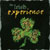THE IRISH EXPERIENCE: The Irish Experience