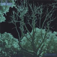 David Isaacs : Nocturnal March