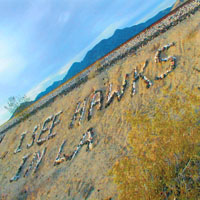 I See Hawks In L.A. : I See Hawks In L.A.