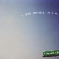 I SEE HAWKS IN L.A.: Grapevine