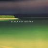 ISLAND ARTISTS: Slack Key Guitar