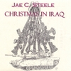 JAE C. STEELE: Christmas in Iraq