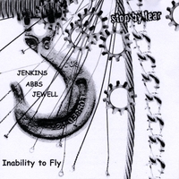 Inability to Fly by L.A. Jenkins