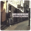 JAMES BRIAN WILSON: A Jig Monkey In The Northwest