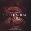 JAMES DOOLEY: Position Music - Orchestral Series Vol. 2
