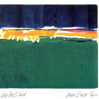 James Durst : Like The Wind: Songs of a Wondering Minstrel