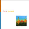 LARRY JANACEK: Desert Dreams