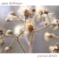 Jane Anfinson : Precious Details