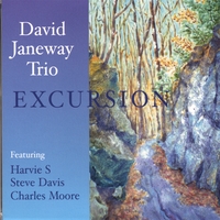 David Janeway : David Janeway Trio-Excursion
