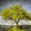 JANNA ADAMS: Secrets