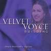 JANYCE MOOMJIAN: Velvet Voyce Building