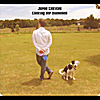 Jared Lekites: Looking For  Diamonds