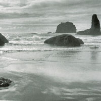 ANI DIFRANCO,COWBOY JUNKIES A.O. V/A: Coast To Coast