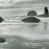 ANI DIFRANCO,COWBOY JUNKIES A.O. V/A: Coast To Coast