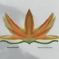 Jarrad Powell : Natural Selection