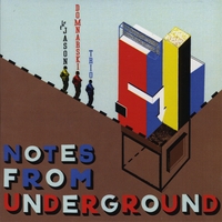 The Jason Domnarski Trio : Notes from Underground