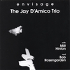 JAY D'AMICO: Envisage