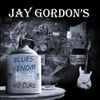 Jay Gordon & Blues Venom: Blues Venom: No Cure