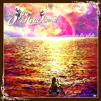Jay Hoad Band : Warmth In The White