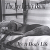 THE JAY LICHTY BAND: It's A Dog's Life