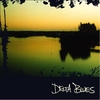 Jaysin & Anecha: Delta Blues
