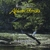 JONATHAN BIRIN: African Forests