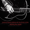 Joshua Black Wilkins & The Forty Volts: While You Wait