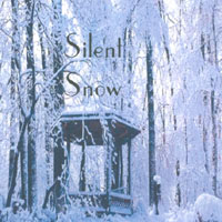 Judith C. McAleer : Silent Snow