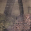 JOSHUA & DENISE FRATTAROLA: Threads Through The Thistle