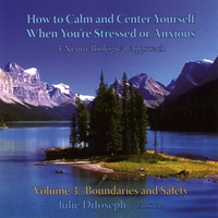 Julie DiJoseph, MA, SEP : How To Calm & Center Yourself When You're Stressed or Anxious, Vol. 3: BOUNDARIES & SAFETY