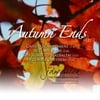 JD Warrick: Autumn Ends (EP)