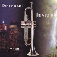 Jeff Elliott : Different Jungles