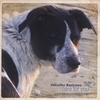 Jennifer Kathleen: Here for You