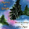 CELTIC MUSE: JENNIFER PRATT-WALTER AND VALERIE BLESSLEY: Merry & Bright - Harp for the Holidays