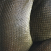 JEREMY CLOAKE: Transformation