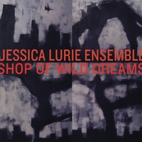 Jessica Lurie : Shop of Wild Dreams