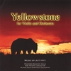 JETT HITT: Yellowstone for Violin and Orchestra