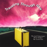 JOEL FUTTERMAN/ALVIN FIELDER/IKE LEVIN TRIO: Traveling Through Now