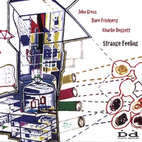 JOHN GROSS/DAVE FRISHBERG/CHARLIE DOGGETT: Strange Feeling