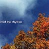 THE JIBE: root the rhythm