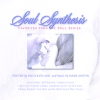 Jim Cleveland with Mark Austin : Soul Synthesis: Favorites from the Soul Series