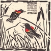 JIM SCHULZ: Where the Red-Winged Blackbirds Sing