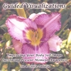 Joe & Laura Pallatin: Guided Visualizations
