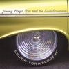 JIMMY LLOYD REA AND THE SWITCHMASTERS: Cruzin' For A Bloozin'